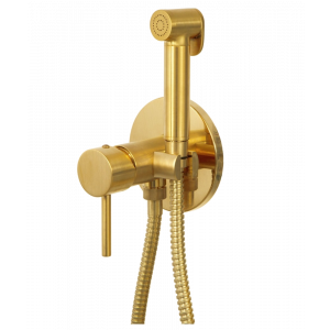 Bidet-Armatur | mit Bidet-Brause | unterputz | oval | goldene matt | X STYLE