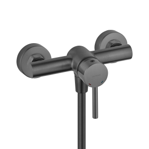Duscharmaturen | nástěnná hebel | Graphit | MOLLE
